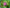 Promotion banner