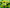 Promotion banner