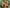Promotion banner