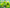 Promotion banner