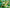Promotion banner