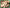 Promotion banner