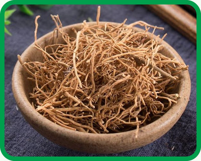 Swallowwort Root