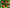 Promotion banner